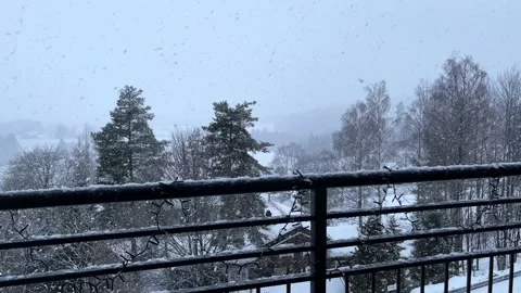 Snow Stock Footage 233363173