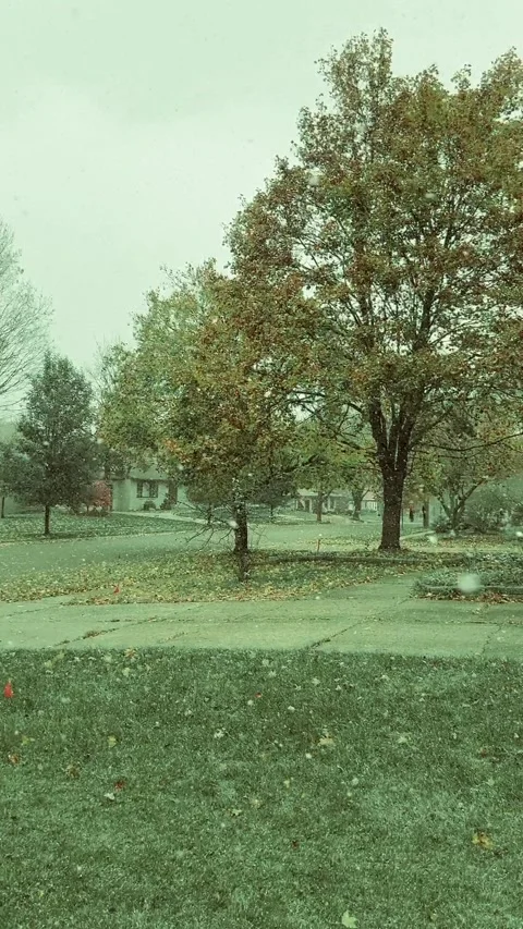 Snow Stock Footage 279523622