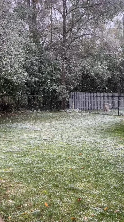 Snow Stock Footage 279523702