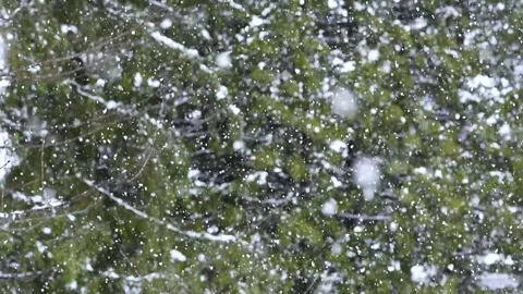 Snow Stock Footage 285168051