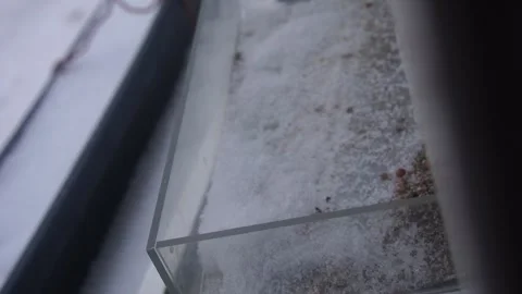 Snow Stock Footage 296375548