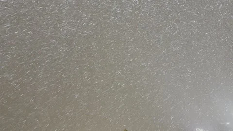 Snow Stock Footage 297773400