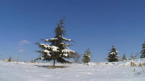 Snow Forest 1 Stock Footage 10713325