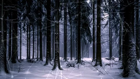 Snow forest. Background with flying patterns. Forest. Midnight snow forest. Stock Footage 273536447