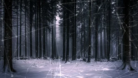 Snow forest. Background with flying patterns. Forest. Midnight snow forest. Stock Footage 273536449