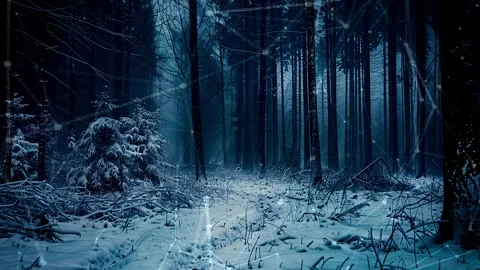 Snow forest. Background with flying patterns. Forest. Midnight snow forest. Stock Footage 273536450