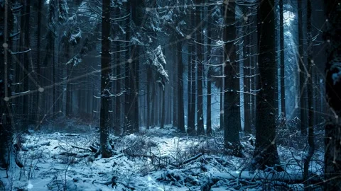 Snow forest. Background with flying patterns. Forest. Midnight snow forest. Stock Footage 273536488