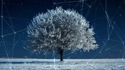 Snow forest. Background with flying patterns. Forest. Midnight snow forest. Stock Footage 273536489
