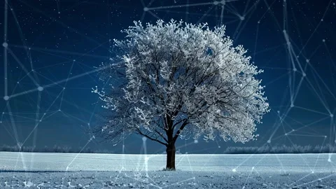 Snow forest. Background with flying patterns. Forest. Midnight snow forest. Stock Footage 273536552