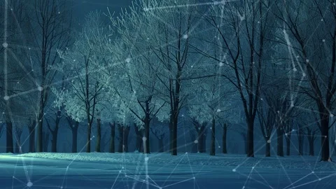Snow forest. Background with flying patterns. Forest. Midnight snow forest. Stock Footage 273536558