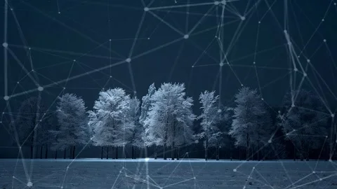 Snow forest. Background with flying patterns. Forest. Midnight snow forest. Stock Footage 273536574