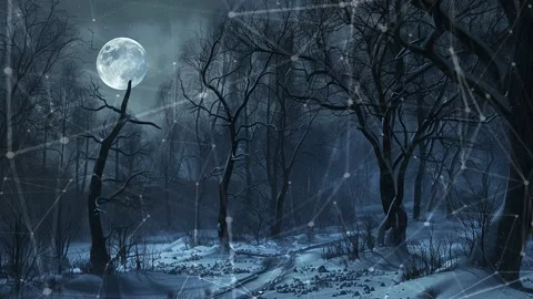 Snow forest. Background with flying patterns. Forest. Midnight snow forest. Stock Footage 273536653