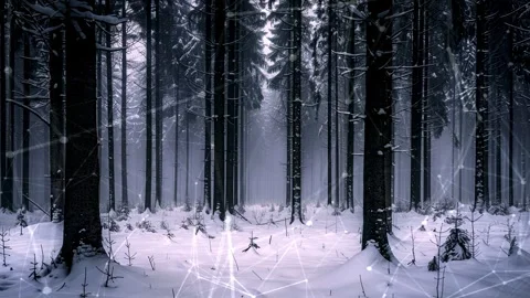 Snow forest. Background with flying patterns. Forest. Midnight snow forest. Stock Footage 273536654