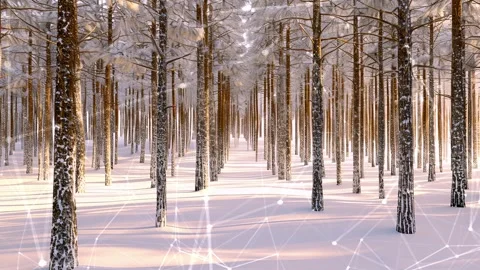 Snow forest. Background with flying patterns. Forest. Midnight snow forest. Stock Footage 273536656