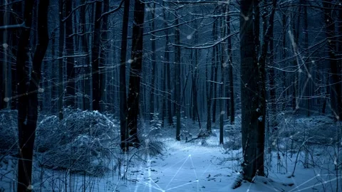 Snow forest. Background with flying patterns. Forest. Midnight snow forest. Stock Footage 273536685