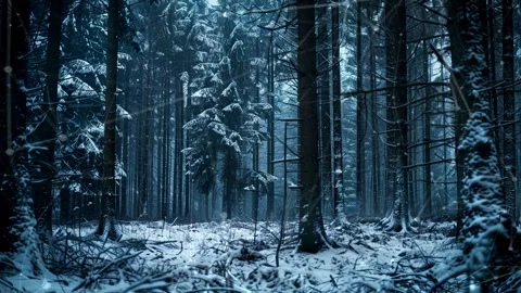 Snow forest. Background with flying patterns. Forest. Midnight snow forest. Stock Footage 273536725