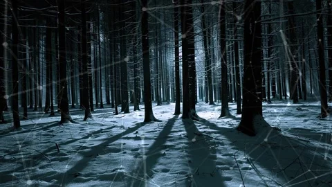 Snow forest. Background with flying patterns. Forest. Midnight snow forest. Stock Footage 273536728