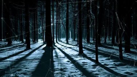 Snow forest. Background with flying patterns. Forest. Midnight snow forest. Stock Footage 273574654