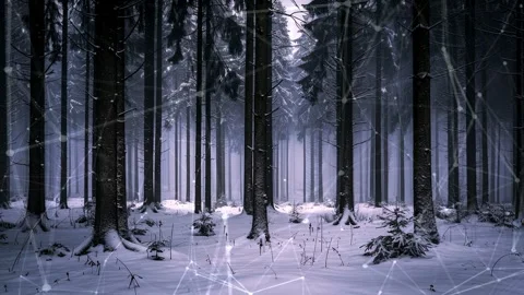Snow forest. Background with flying patterns. Forest. Midnight snow forest. Stock Footage 273574663