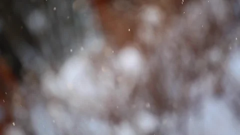 Snow forest background hd footage Stock Footage 100316636