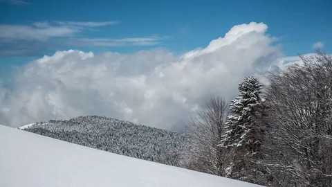 Snow Forest Clouds. Winter scenery time lapse Stock Footage 83706445