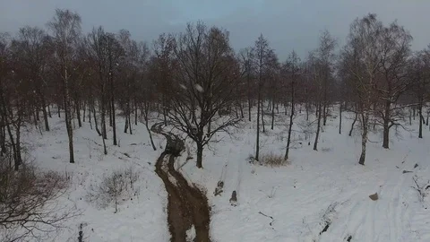 Snow forest from drone Stock Footage 84390965