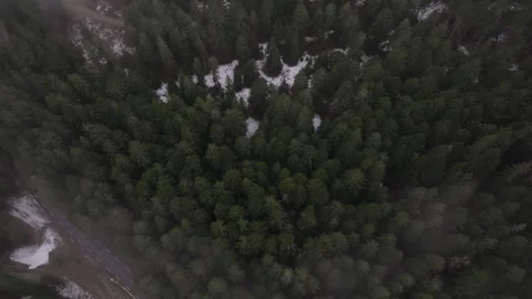 Snow In The Forest By Drone Stock Footage 246738498