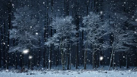 Snow forest. Falling snowflakes. Looped snow. Midnight forest. Winter forest. Stock Footage 269546728