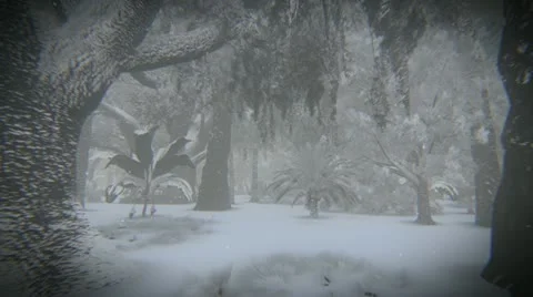 Snow in the forest Stock Footage 11959461