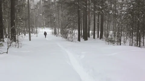 Snow forest Stock Footage 33849093