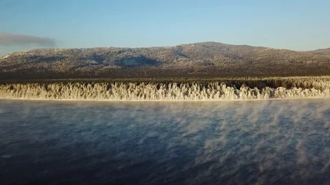 Snow forest Stock Footage 104092989