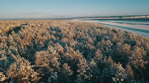 Snow forest. Ice river. Drone view. Stock Footage 101815437