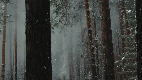 Snow, forest, nature, winter, trees 動画素材 131611320