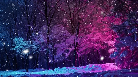 Snow forest. Neon forest. Stock Footage 269407925