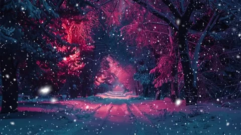 Snow forest. Neon forest. Stock Footage 269408356