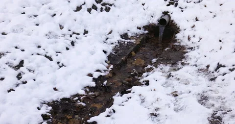 Snow in forest park trees roads pond Video stock 221430169