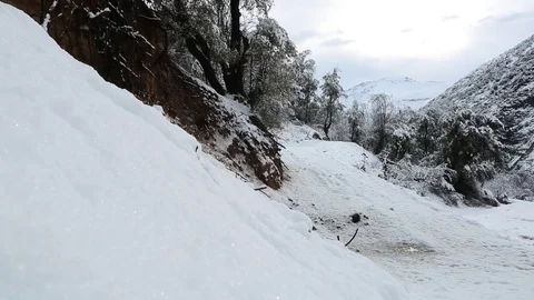 Snow forest path Stock Footage 77047951