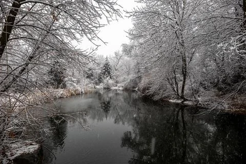 Snow in the forest Foto stock