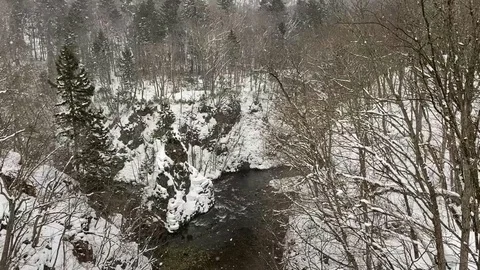 Snow Forest, River and Mountain (Tilt Up) Stock Footage 127558948