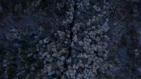 Snow forest road drone Stock Footage 144681956