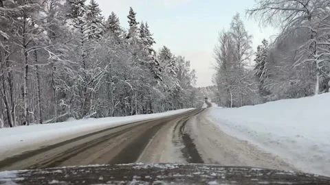 Snow forest, road. Stock Footage 169744904