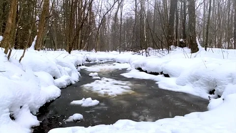 Snow in the Forest Slow Motion Winter Creek Stock Footage 123042636