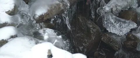 Snow, forest, trees, mountain, winter Stock Footage 93560684