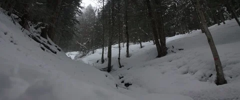 Snow, forest, trees, mountain, winter Stock Footage 93618212