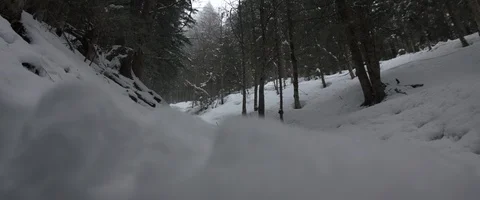 Snow, forest, trees, mountain, winter Stock Footage 93636271