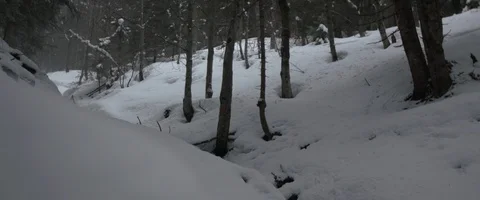 Snow, forest, trees, mountain, winter Stock Footage 93639562