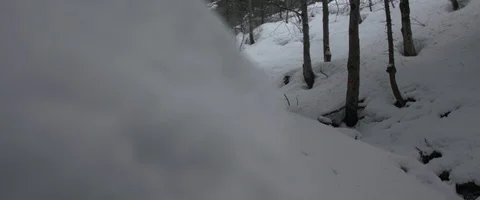 Snow, forest, trees, mountain, winter Stock Footage 93642791