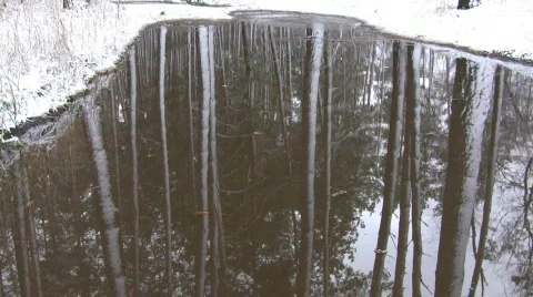 Snow forest in water reflexion. Stock Footage 290987