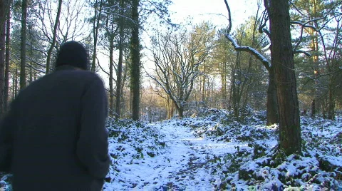 Snow forest3 Video stock 877507