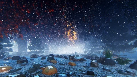 SNOW IN THE FORREST Stock Footage 86360179